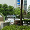 더 센트로드 이미지