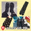 엄지그래픽 | 쪼리 타비 양말 일본 소우소우 매장구매 정보 및 직접 착용해 본 후기