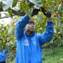 무학농장 이미지