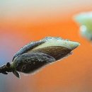 미래주유소 화장실 이미지