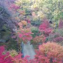 서라영 이미지