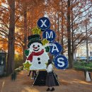 메타세쿼이아길 공중화장실 | [전라남도/담양] 담양 산책 맛집 여행 코스 추천_죽녹원/관방제림/메타세콰이어길/현재국수/카페버트