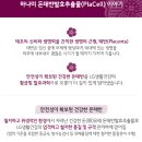 만기획 | 하나미 비컴궁 7개월 27만기획 구성최고