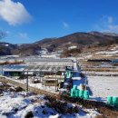 중앙사슴목장 이미지