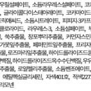 잉글리쉬앤 주식회사