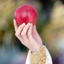 안의청과 이미지