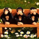 프라임보청기 이미지