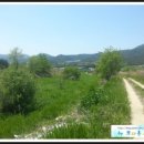 호미배수장 네이버블로그