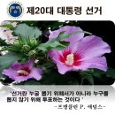 제20대 대통령선거 (명언) 이미지