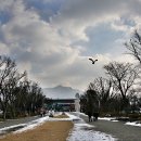 서울대공원의 겨울 풍경 이미지