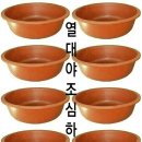 백100 이미지