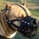 머즐(Muzzle) 이미지