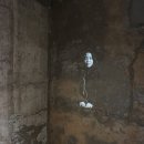 문화도시 영등포 [상호문화] 안과안 프로젝트 결과전 《박동 节奏》 후기
