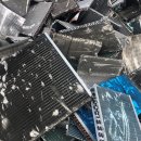 국제라지에타 이미지