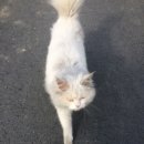 성천리경로당 이미지