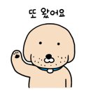 분홍빛산부인과의원 이미지