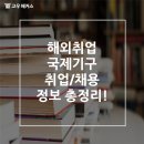 해외취업 국제기구 취업/채용 정보 총정리!