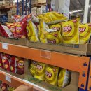 청년피자 단양점 | 8월 몽골 여행기