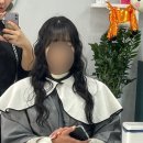 바이설 이미지