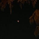 거여경희한의원 | #23. 11월 7일부터 11월 13일까지의 기록 📝