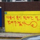 윤태은 | 16.파란타이즈