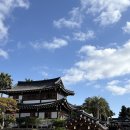 정방연로 | 칼호텔 근처카페 탄스왈로키친 아침식사 가능한 제주갈만한곳