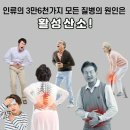 크린톡효소 네이버블로그