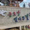 벚나무길 이미지