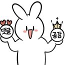 백년웰빙식품 이미지