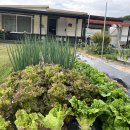 튼튼농장 이미지