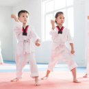 포올태권도장 이미지