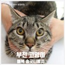 중동 우리아이 동물병원 이미지