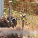 계절상점