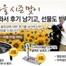 에이스이벤트 이미지