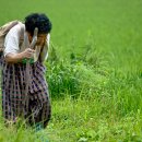 주식회사 거경 이미지