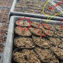 새봄농장(2) 이미지