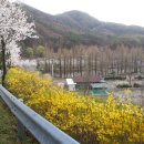 파주기산캠프 이미지