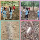 참아동어린이집 이미지