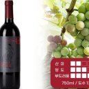 농업회사법인 주식회사 비옥 이미지