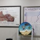 소리케어난청센터 이미지