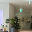 하얀멍이 | 달동피부과 턱끝필러후기 통증 전 후 솔직후기