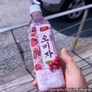 CU 뉴청라저수지점 네이버블로그
