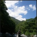 계곡&풍경 이미지