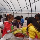 은하초등학교 이미지