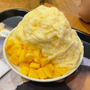 대빵하우스 이미지