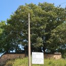 창녕 팔락정 이미지