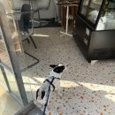 윅앤드위켄드 이미지