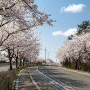 고인돌 공원 이미지