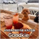 [창원/애견동반카페] 창원 분위기좋은 귀산카페 ‘굿키’ 애견동반 후기
