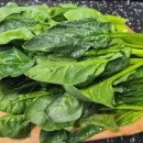 정직한 피트니스 이미지